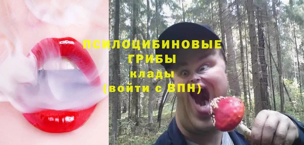 гидра Белокуриха