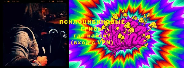гидра Белокуриха