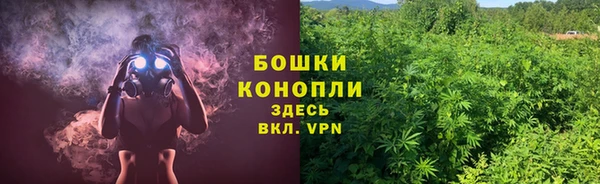 эйфоретик Беломорск